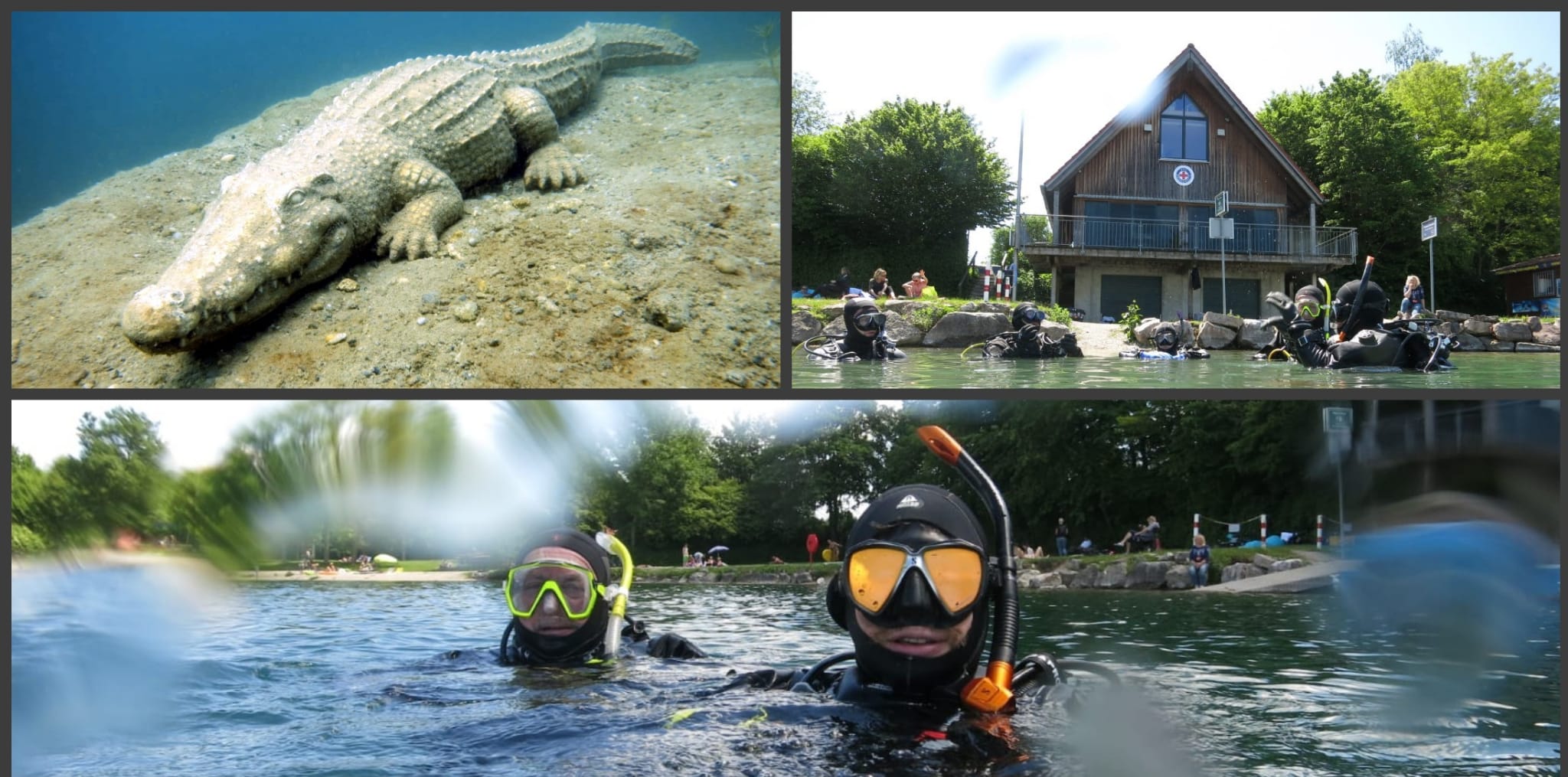 Veranstaltungen Archiv DiveXellence