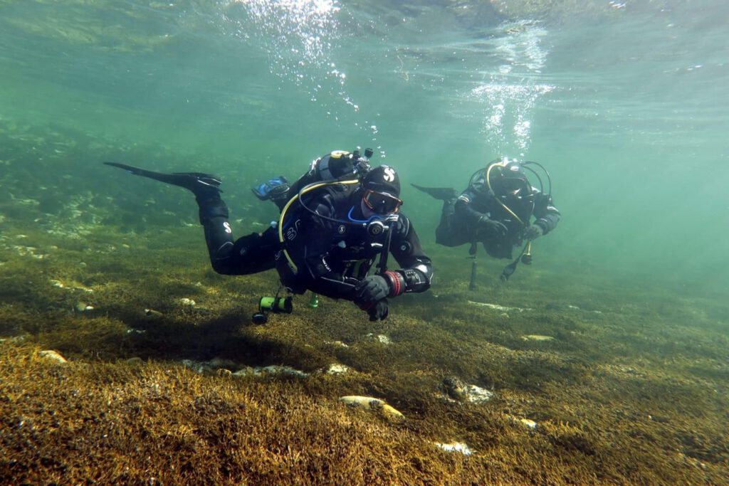 Guided Dive im Bodensee