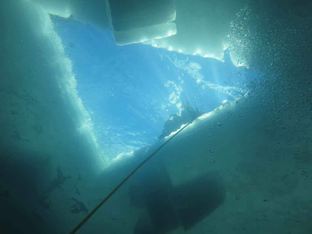 Eistauchen-DiveXellence - diveXellence - diveXellence Unterwasser unter eis Urisee Eistauchen Specialty divexellence Tauchschule Ulm