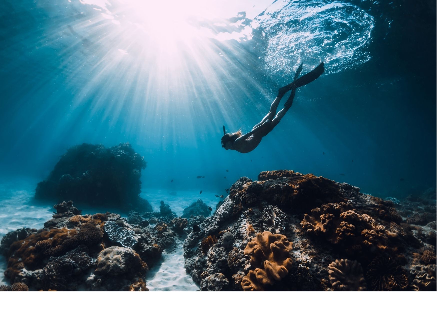 PADI Freediver Kurs Apnoe tauchen mit diveXellence Tauzchschule Ulm