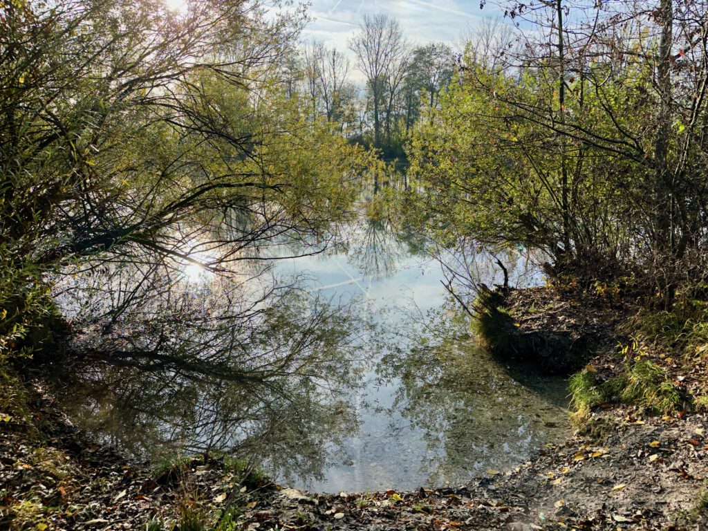 Echinger Weiher mit diveXellence Tauchschule Ulm