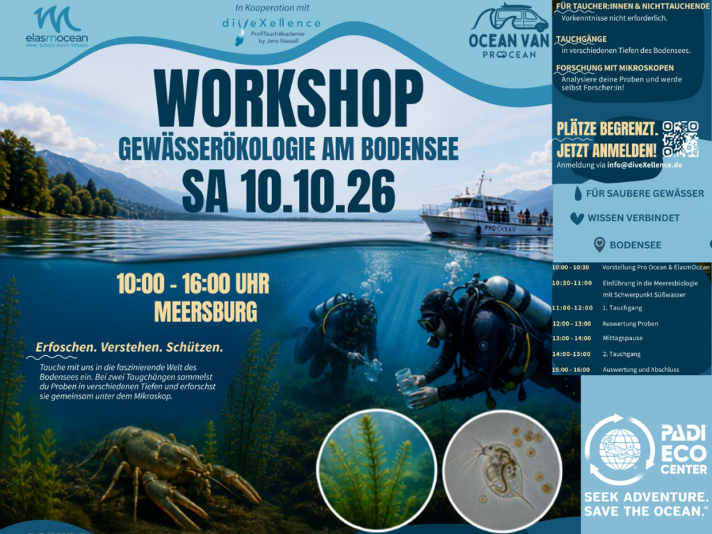 - diveXellence Workshop Gewässerökologie am Bodensee mit diveXellence Tauchschule Ulm