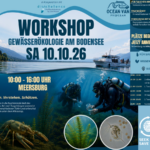 Workshop Gewässerökologie am Bodensee mit diveXellence Tauchschule Ulm