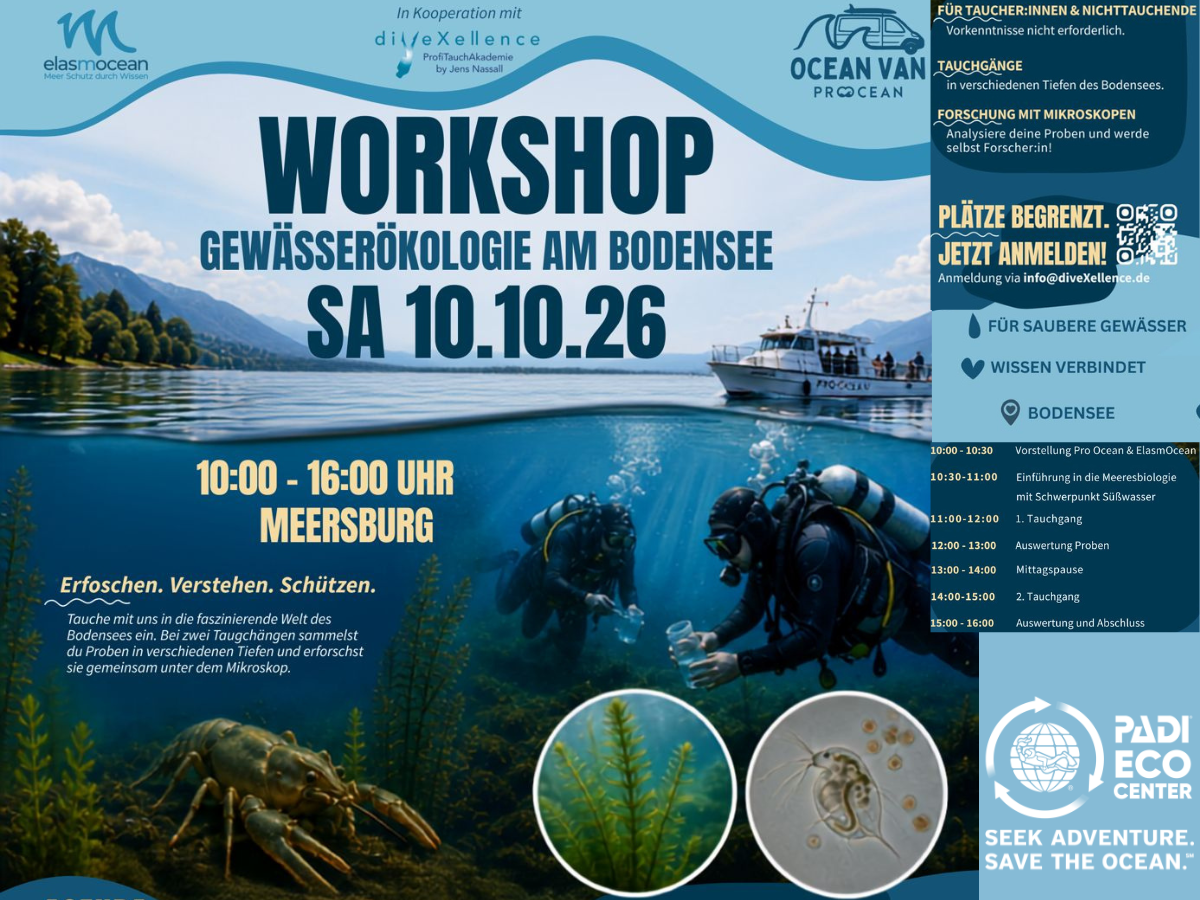 Workshop Gewässerökologie am Bodensee mit diveXellence Tauchschule Ulm