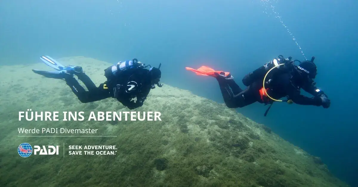Tauchen Lernen Oder Tauchlehrer Werden PADI Tauchschule Ulm